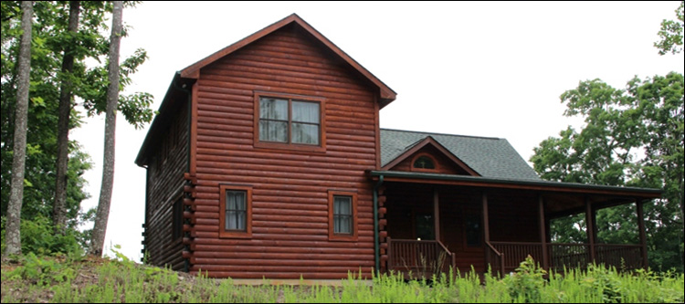 Professional Log Home Borate Application  Jasper County, Georgia